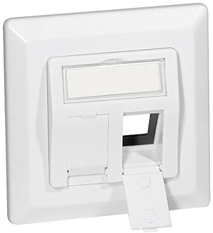 Equip podtynkowe ramka montażowa komplet czysta biel 80 X 80 z osłoną/płytka centralna dla dwóch Keystone Jacks Pro 4015867142028