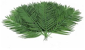 Europalms Europalms Coconut palm branch 110cm 12 szt. Sztuczny liść 82509897