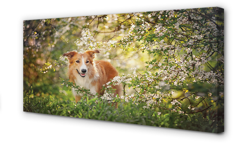 PL Tulup Obrazy na płótnie Pies las kwiaty 100x50cm