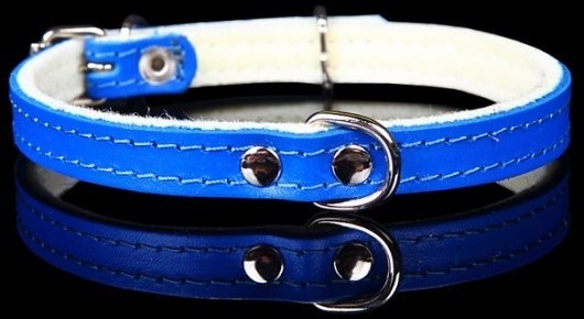 dr Seidla ZOO LESZCZ (PL) Soldina Dla Psa Skóra Naturalna 8 mm / 28 cm ZL0150 ZOO LESZCZ (PL)