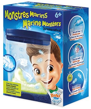 BUKI France 125 - rak nieformalny