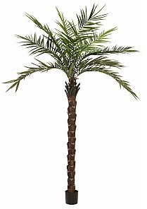 Eurolite EUROPALMS Kentia palm tree deluxe, artificial plant, 300cm Sztuczna palma 82511370