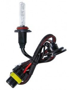 Lampa 58267 lampa HID H10 58267