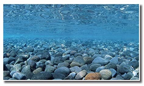 Wave a8011573 Foto Vision tylne, dwustronne w blister, 45 x 100 cm