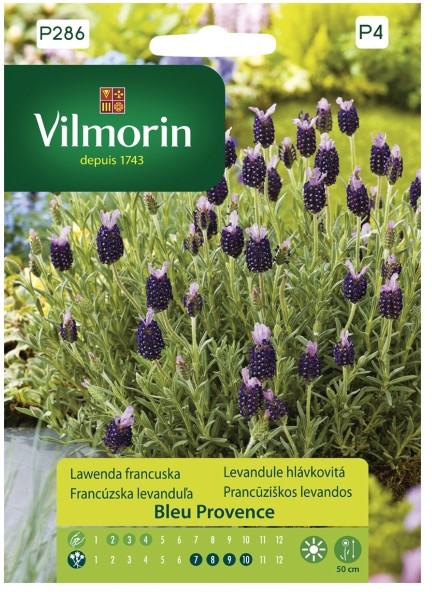 Vilmorin Nasiona lawenda francuska