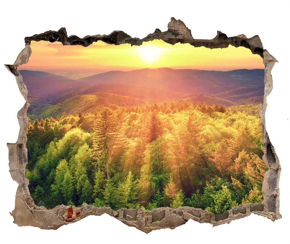 Wallmuralia.pl naklejka fototapeta 3D Las zachód słońca