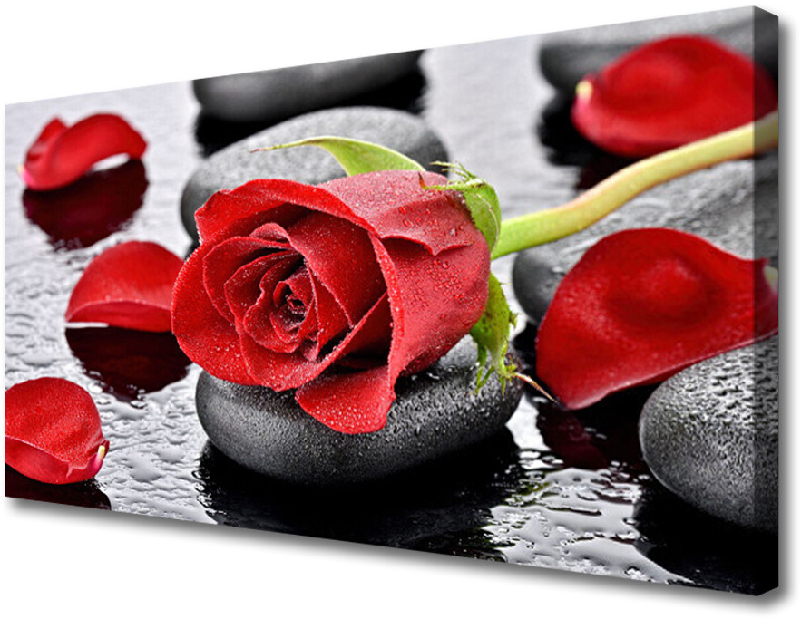 PL Tulup Obraz Canvas Czerwona Róża Kwiat 100x50cm