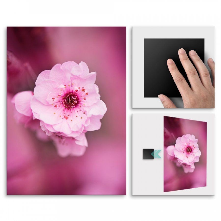 Pix4home Plakat metalowy kwiat wiśni M POS-M-01418