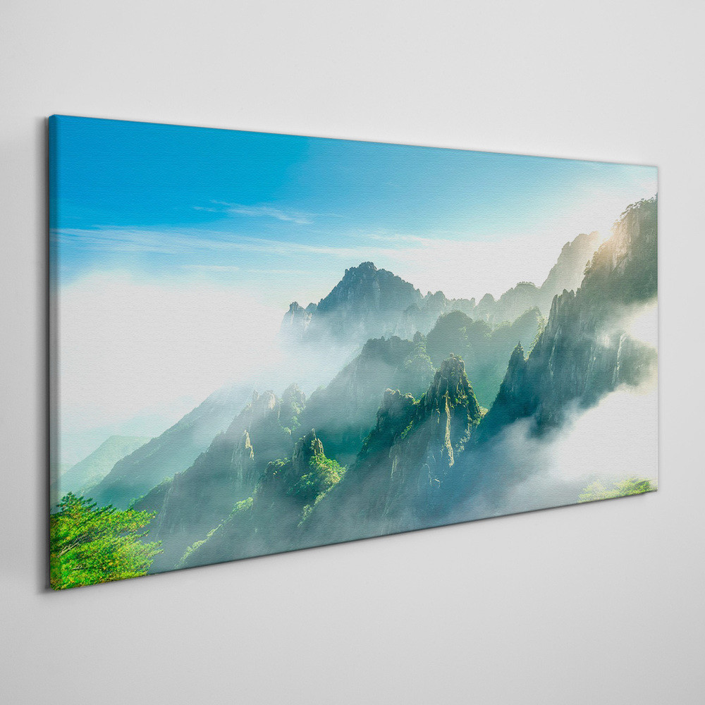 PL Coloray Obraz na Płótnie góry drzewa niebo 100x50cm