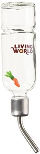 Living World Green Living World Eco Plus butelka na wodę 61580
