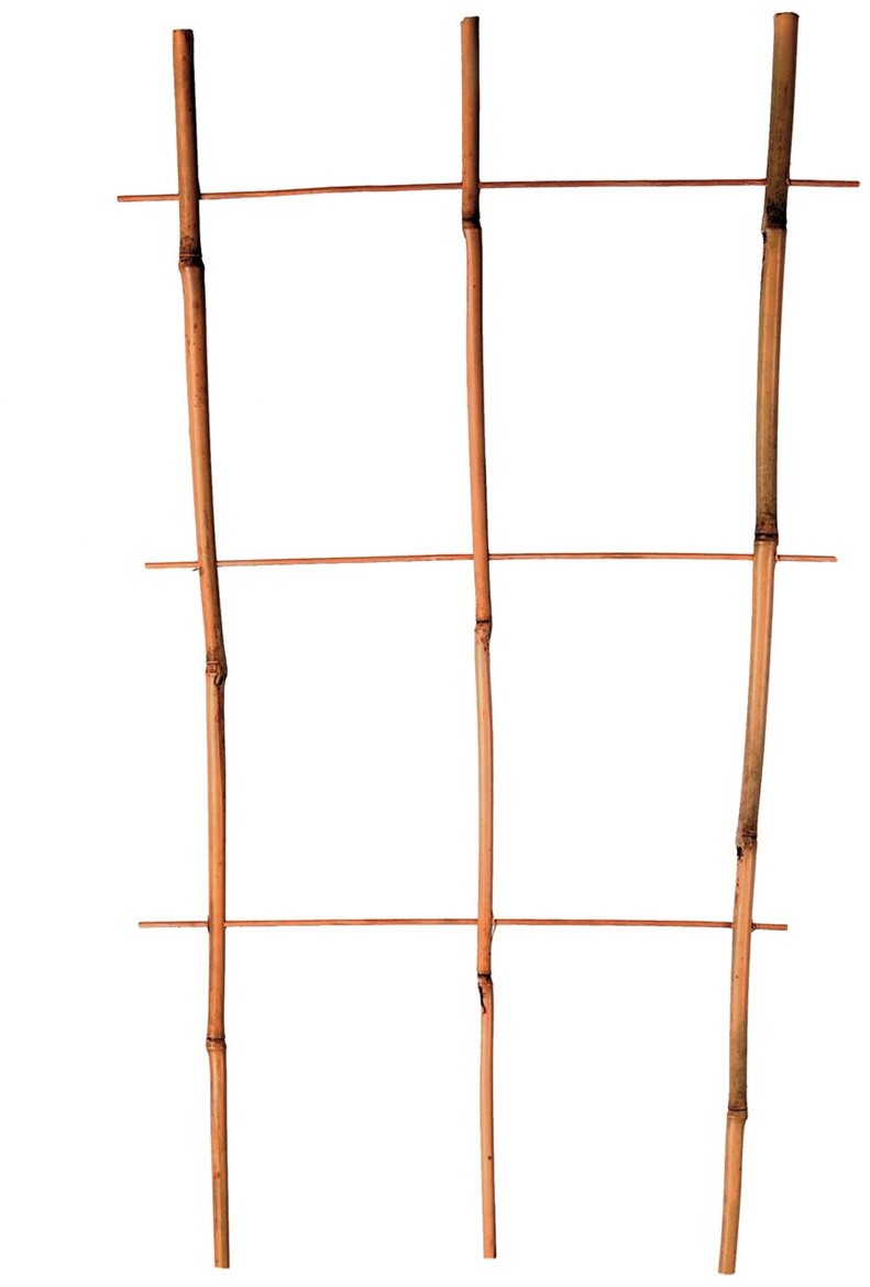 gockowiak Drabinka bambusowa potrójna 45 cm