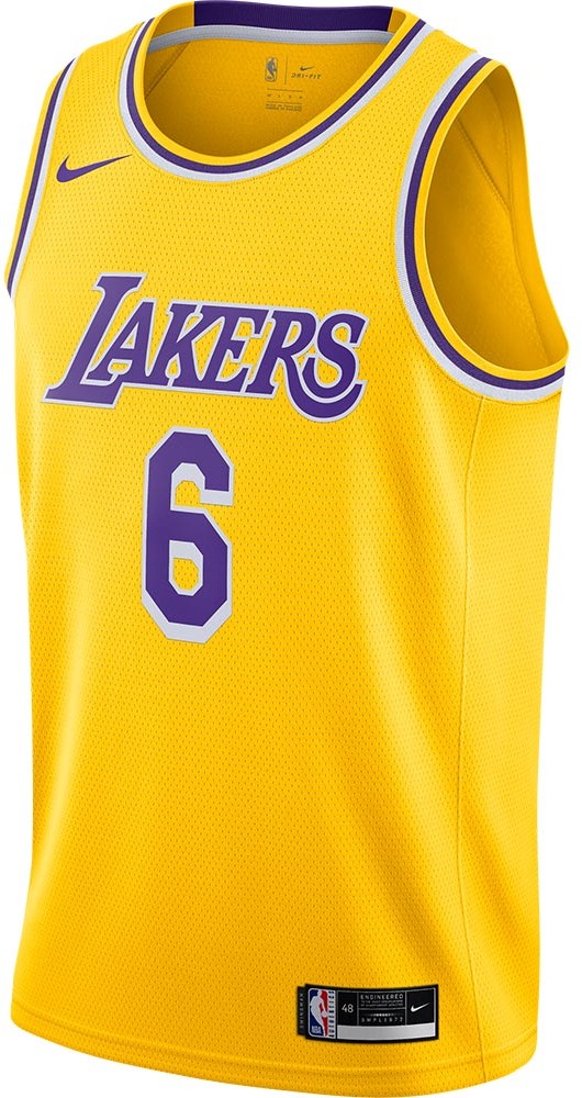 Nike Nike NBA Swingman Jersey LeBron James #6 Los Angeles Lakers Icon Edition 2020 (CW3669-738)