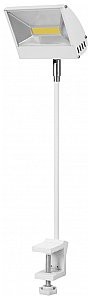 Eurolite LED KKL-30 Floodlight 4100K white Naświetlacz LED z wysięgnikiem 41600469