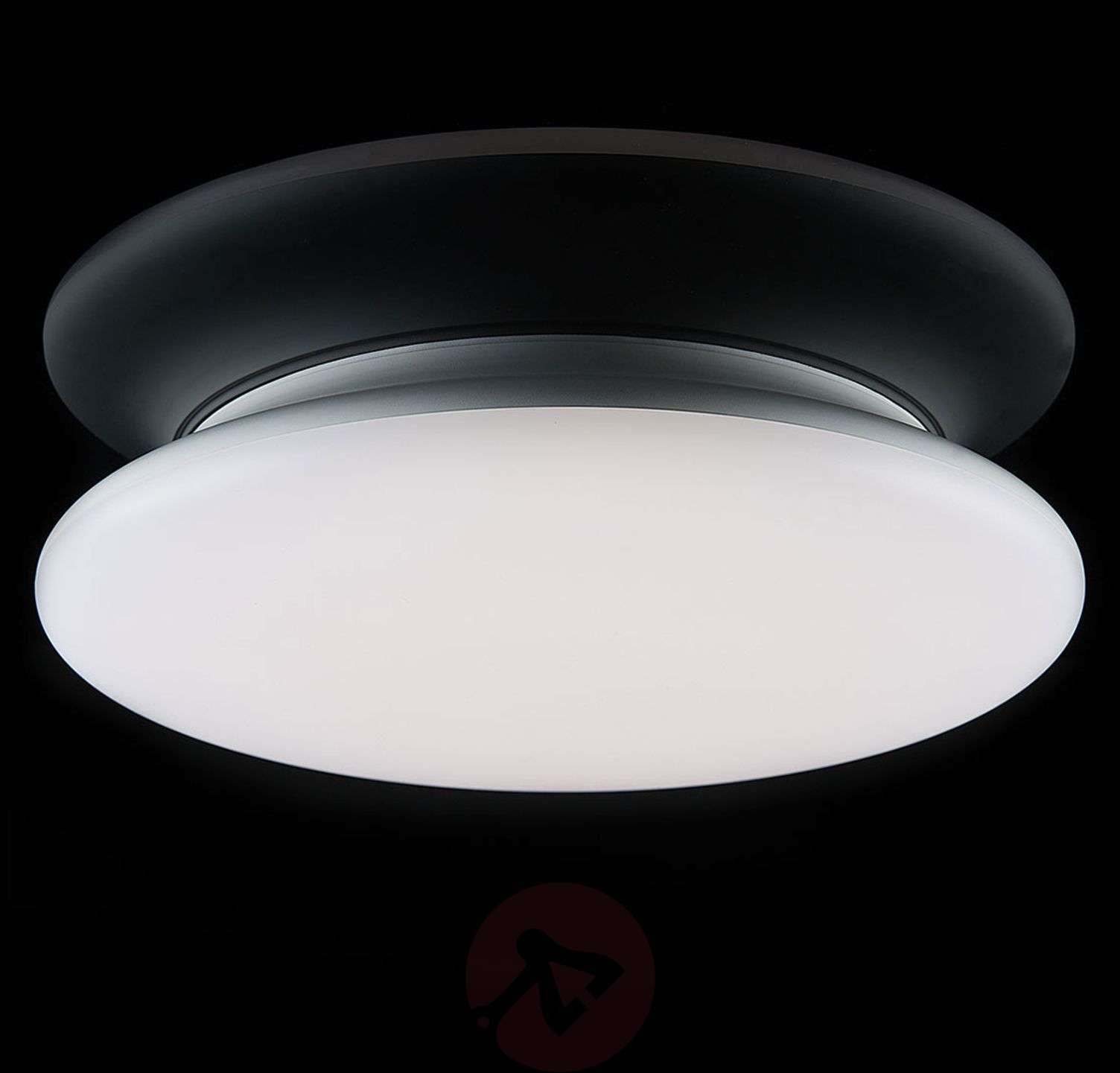 SLC SLC lampa sufitowa LED IP54  30 cm 4 000 K