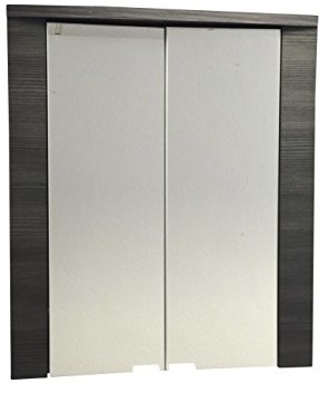 Trendteam xp50310 łazienka szafka z lustrem biały, jesion szary, szer. x wys. x głęb. 60 x 70 x 20 cm 1312-503-10