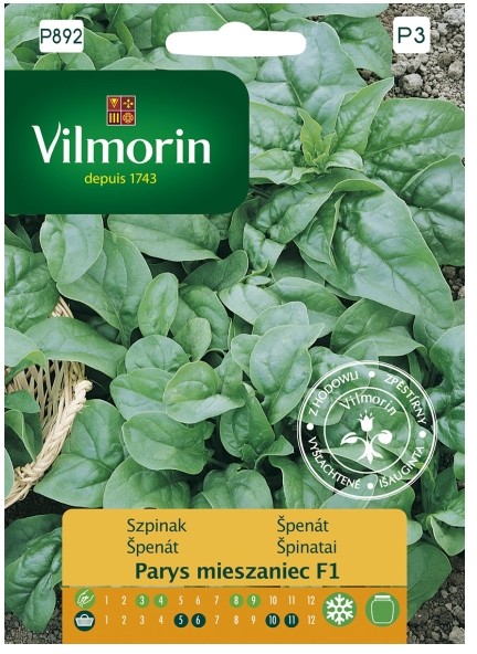 Vilmorin Nasiona szpinak Parys mix
