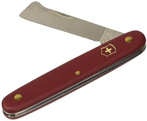 Victorinox scyzoryk nóż okulie proste ostrze 56 MM Czerwony Blister, 3.9020.b1 3.9020.B1