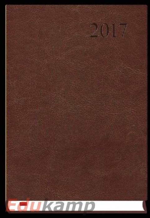 Michalczyk i P. Kalendarze Terninarz Asystent 2018 ALASKA - brąz T-237A-S2 00159MP