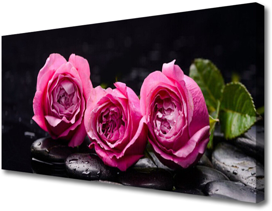 PL Tulup Obraz Canvas Róże Kamienie Zen Spa Natura 100x50cm