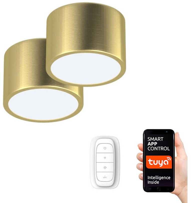 Immax Neo Immax Neo 07127L-BD - Pakiet 2x lampa sufitowa LED RONDATE 2xLED/12W/230V ZigBee