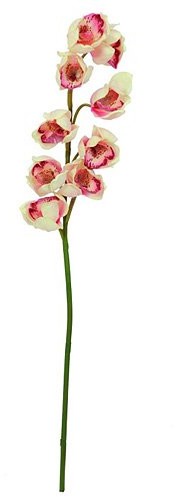 Europalms Euro Palms 82530311 cymbidium gałąź, 90 cm, kremowy/Pink 82530311