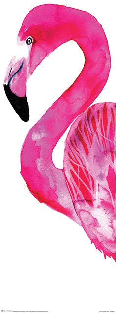 Plakat Sofie Rolfsdotter (Flamingo)