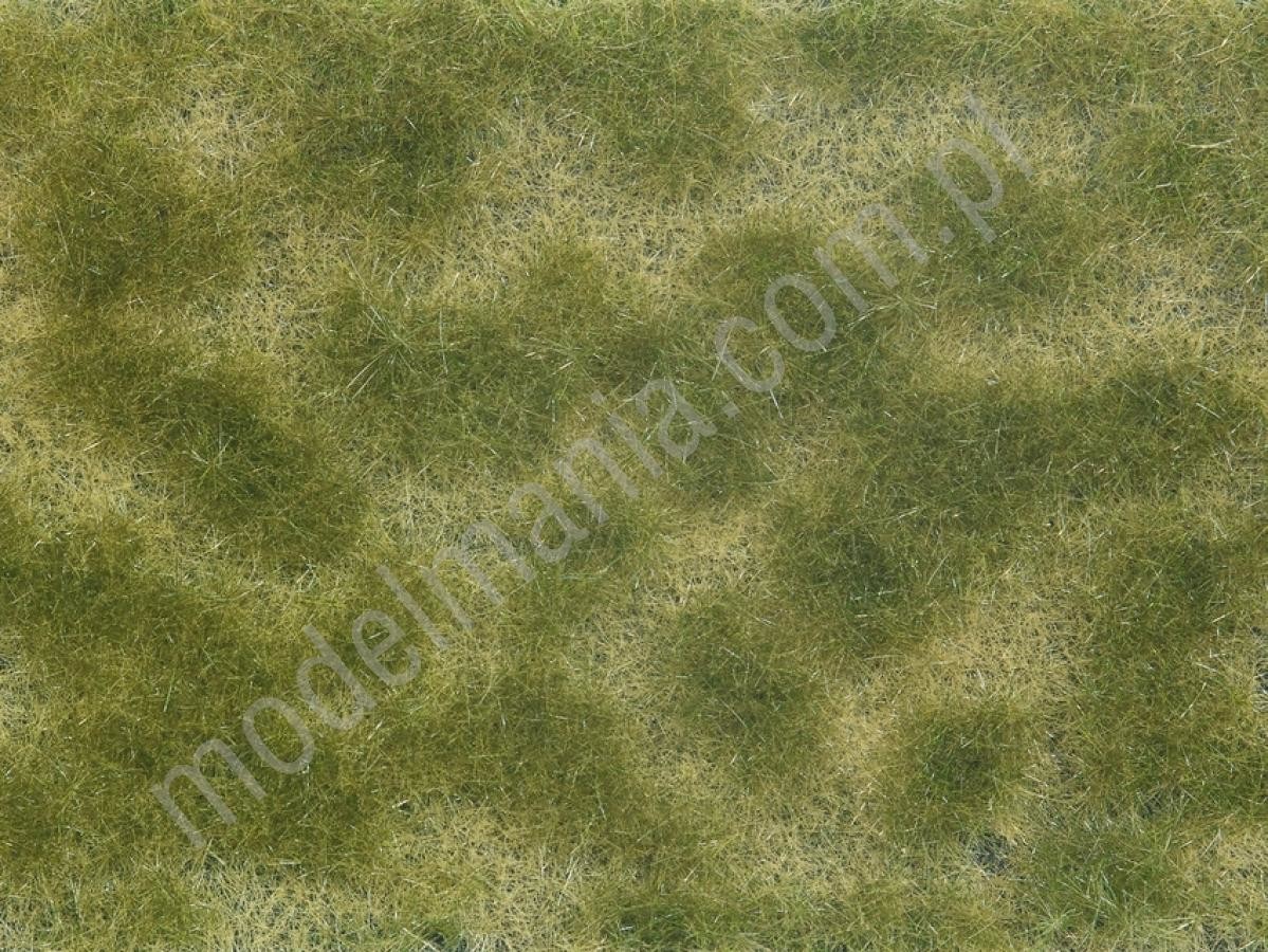 NOCH Liście okrywowe zielone / beżowe 07253