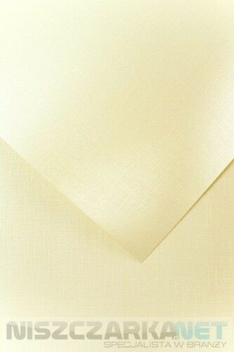 Galeria Papieru Karton Ozdobny 230g/m2 HOLLAND KREMOWY - 20 arkuszy A4