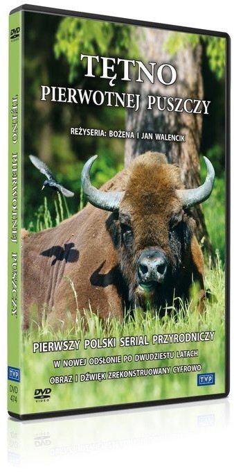 Telewizja Polska S.A. Tętno pierwotnej puszczy DVD) Bożena Walencik Jan Walencik
