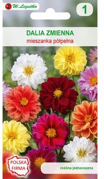 Legutko Dalia zmienna karłowa półpełna UNWINS