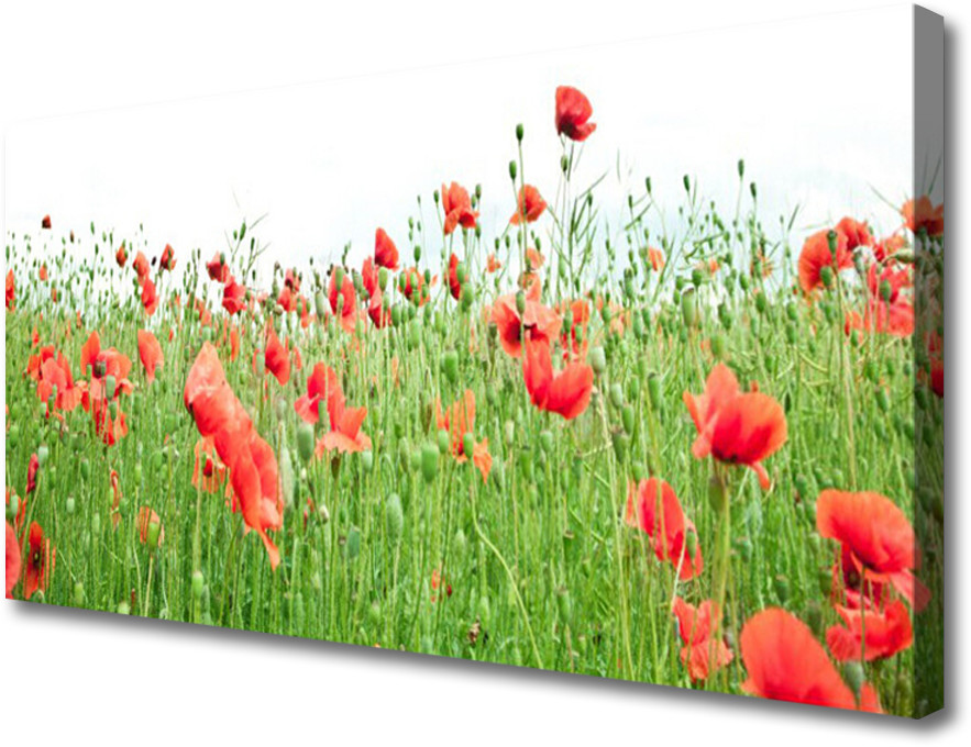 PL Tulup Obraz na Płótnie Maki Roślina Natura 120x60cm
