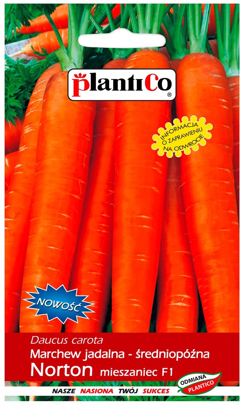 Plantico Marchew Norton F1