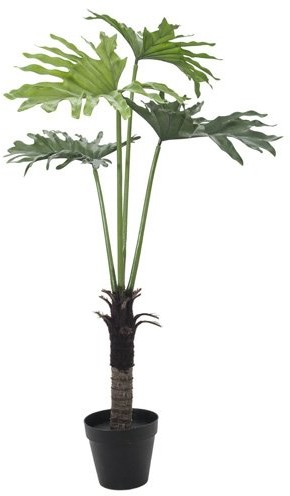 Europalms Euro Palms 82600222 splitphi loden ibandronowego 120 cm 82600222