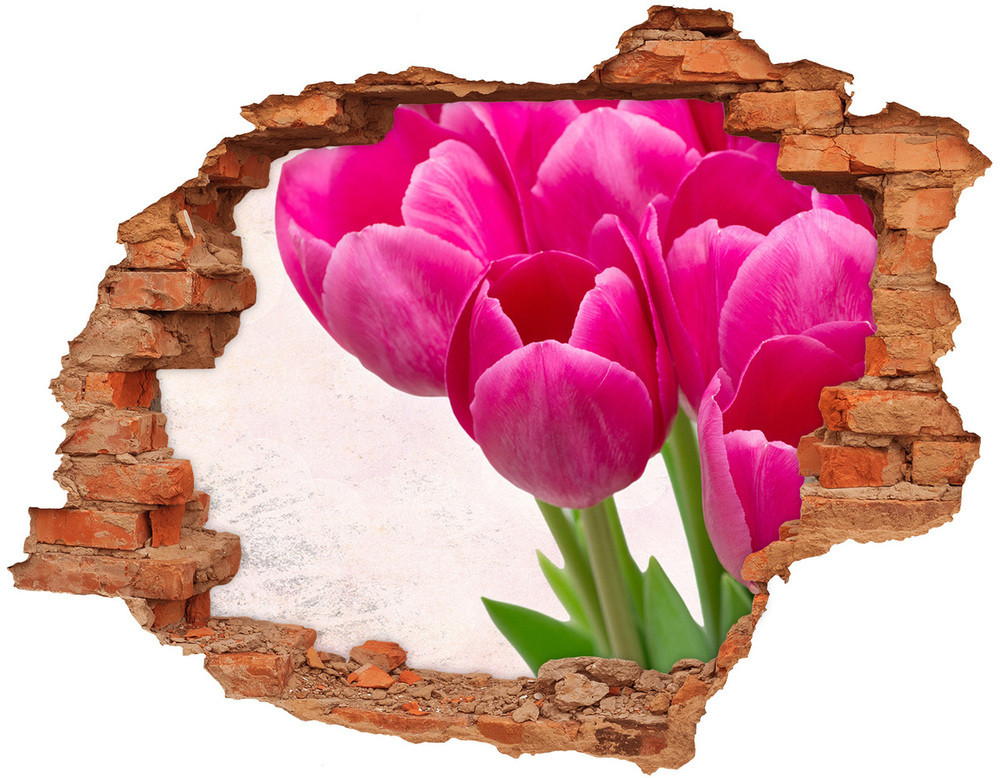 Wallmuralia.pl Samoprzylepna dziura na ścianę Różowe tulipany