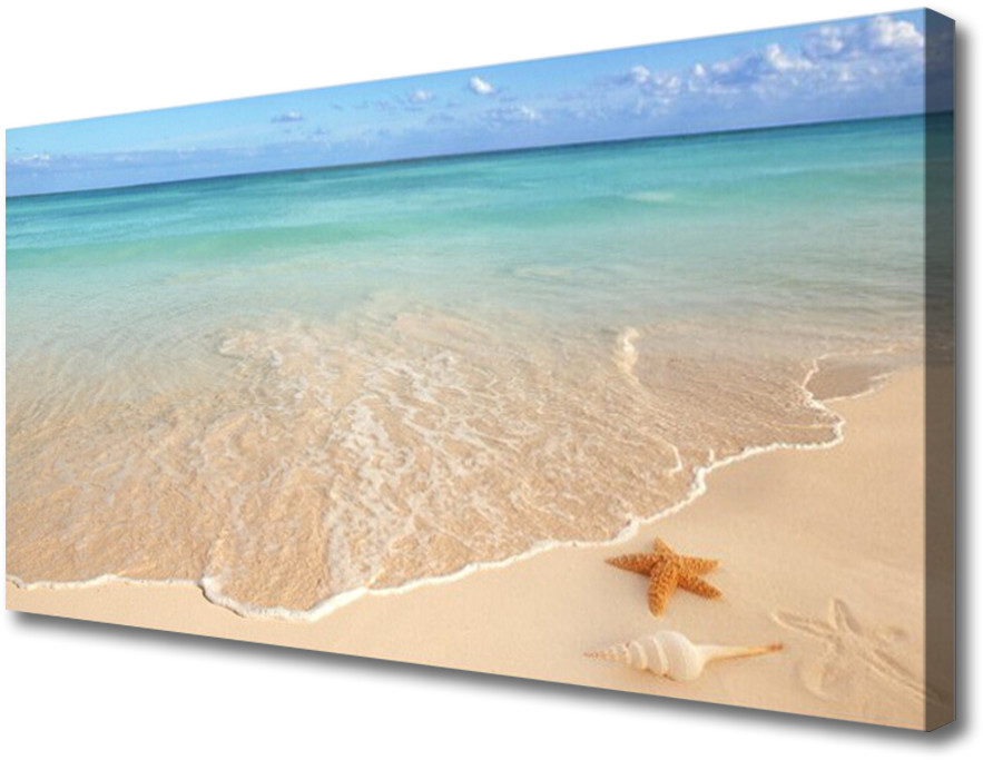 PL Tulup Obraz na Płótnie Plaża Rozgwiazda Krajobraz 100x50cm