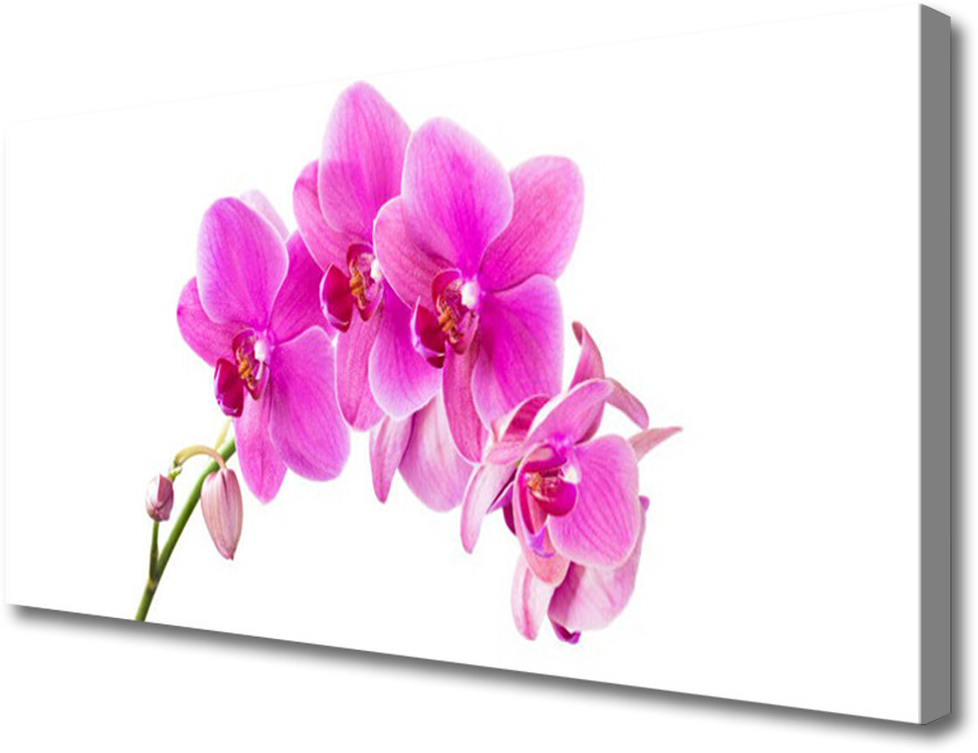 PL Tulup Obraz Canvas Storczyk Kwiat Orchidea 125x50cm