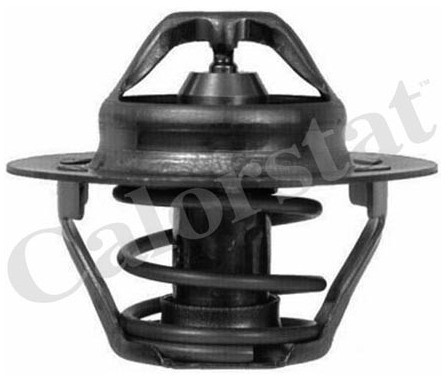 CALORSTAT Termostat, środek chłodzący CALORSTAT TH6047.89J