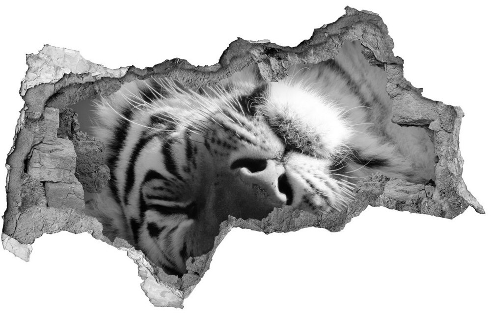 Wallmuralia.pl Dziura 3d fototapeta naklejka Śpiący tygrys