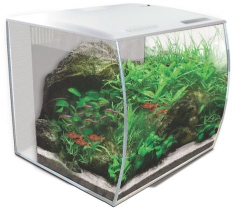 Fluval fluval Flex Curved szklany LED Nano akwarium Fish Tank 34L/6S1  biały