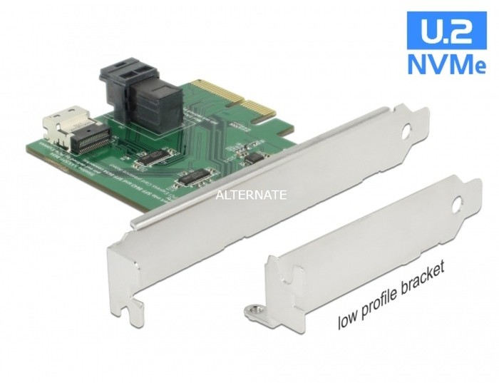 DeLOCK 89923 adapter SAS Wewnętrzny