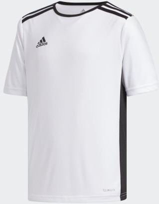 Adidas Entrada Jersey CF1044