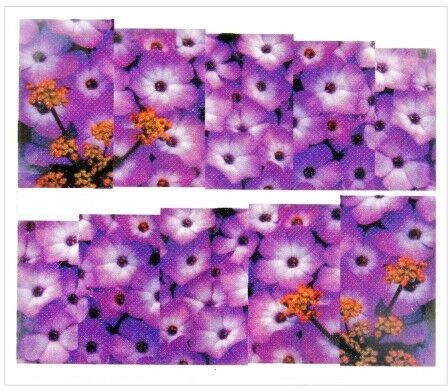 Allepaznokcie Naklejki wodne do paznokci arkusz 6,5 x 5,5 cm na 10 palców Nr 1588