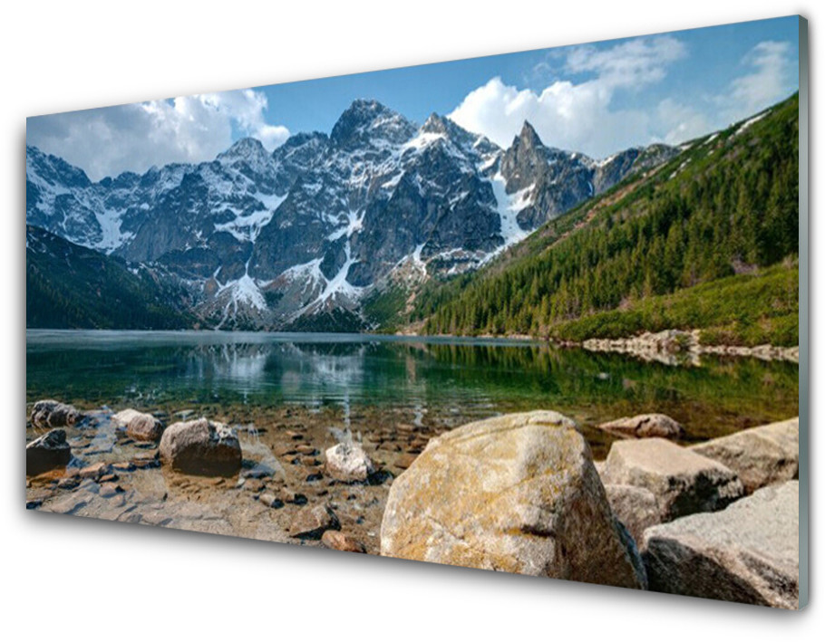 Tulup.pl Panel Szklany Góry Las Jezioro Tatry 100x50cm