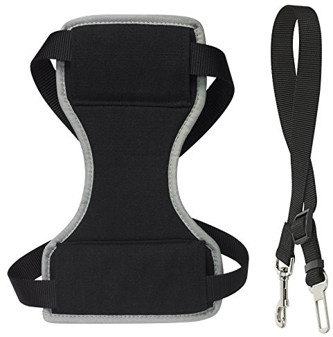 CHAPUIS SELLERIE chapuis seler sla590 samochodowego pasa +  lina do naczyń program antywirusowy dla psów i kotów  Nylon czarna  szerokość 10 MM  Wymiary 20  35 cm  rozmiar S
