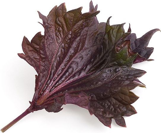 Veritable Wkład nasienny Lingot Smaki Azji pachnotka czerwona VLIN-S5-Shi033