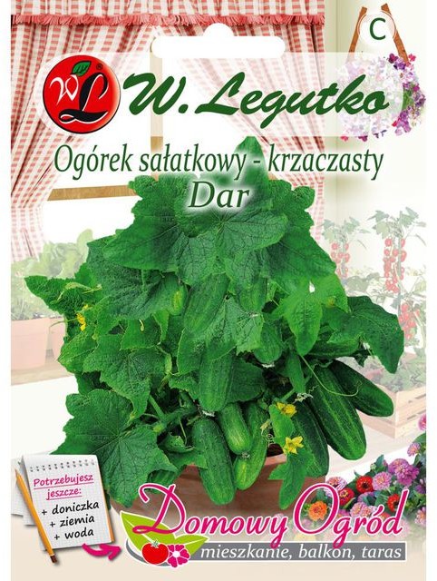Legutko Ogórek sałatkowy krzaczasty DAR