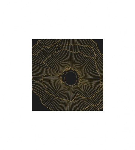 Aparici ART-DECO BLACK SPRITZ NATURAL 29,75X29,75 AP art-deco_black_spritz