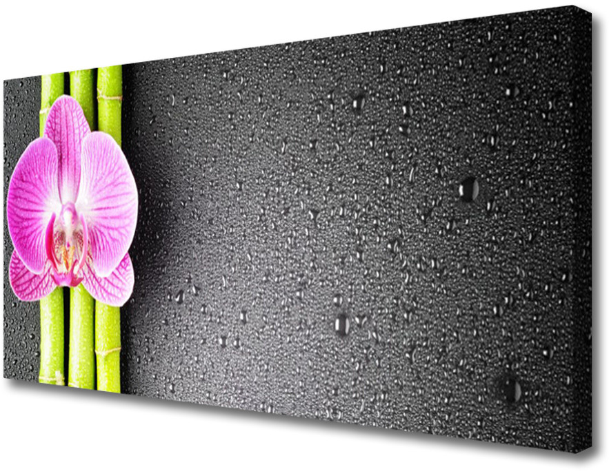 PL Tulup Obraz Canvas Bambus Kwiaty Orchidea 125x50cm