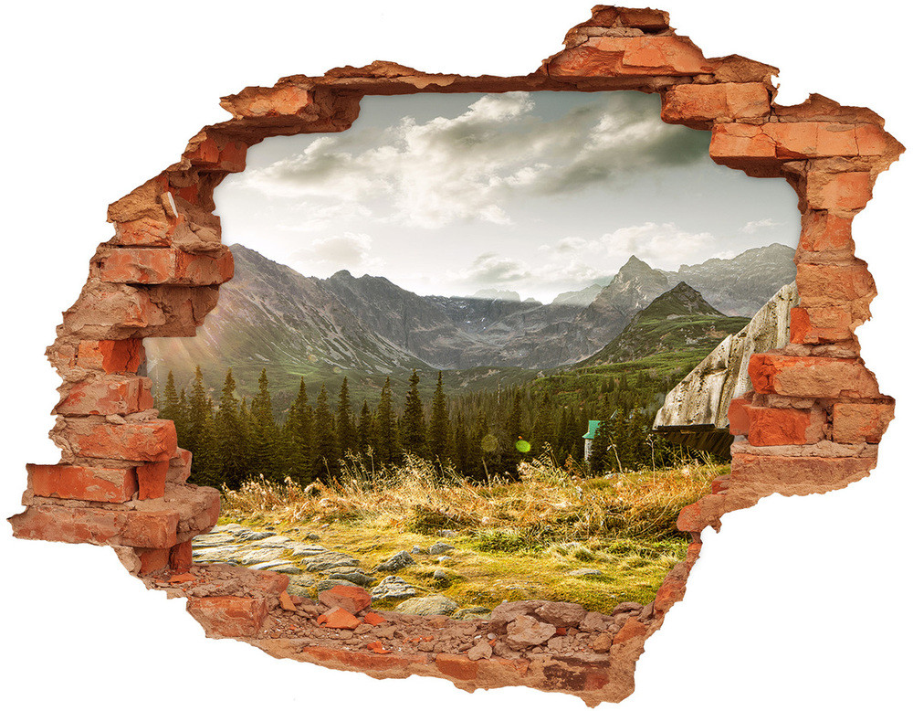 Wallmuralia.pl Samoprzylepna dziura na ścianę Karciane kolory