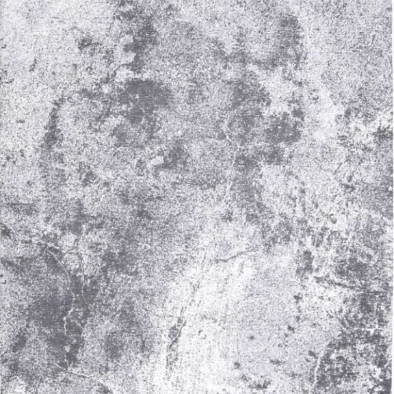 Fargotex Dywan Moon Light Gray 200x300 cm 4805